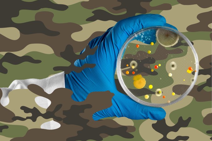 Conflict zones are breeding grounds for drug-resistant bacteria